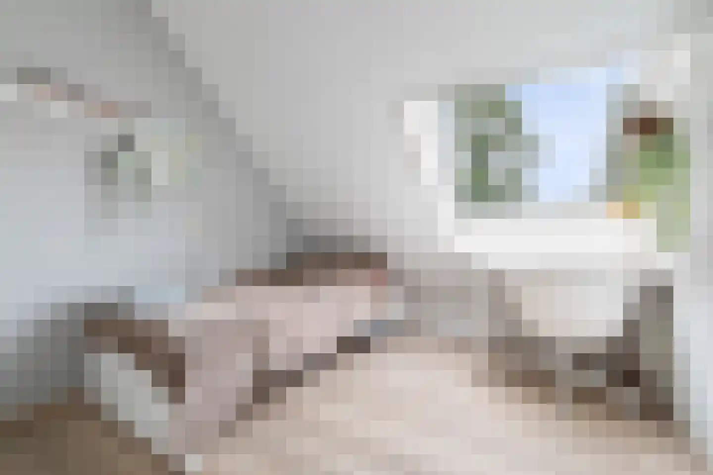 Saturnus 7 Berkel en Rodenrijs thumbnail 36