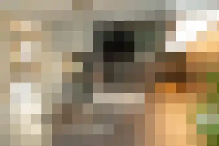 Saturnus 72 Hoogeveen thumbnail 16