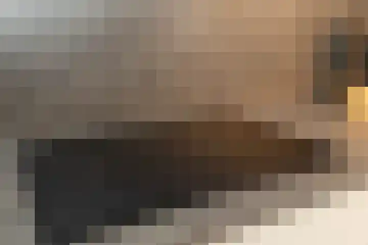 Saturnus 72 Hoogeveen thumbnail 19