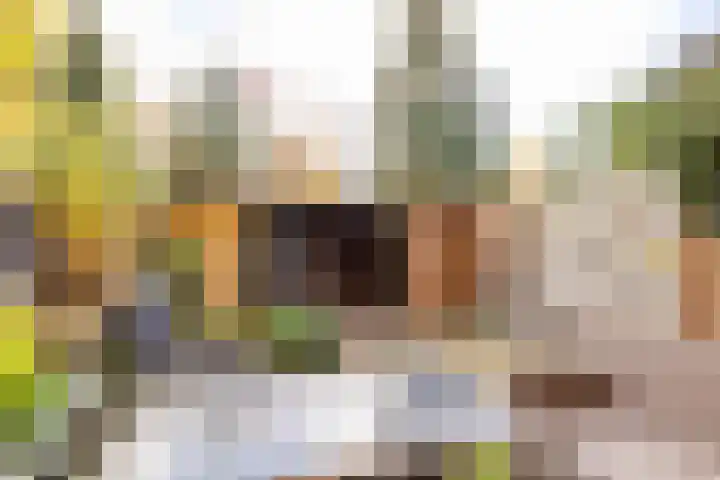 Saturnus 72 Hoogeveen thumbnail 44