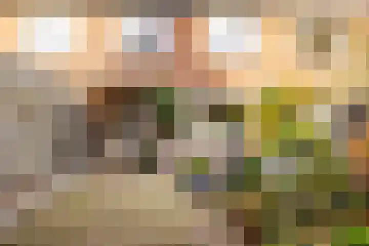 Saturnus 72 Hoogeveen thumbnail 45