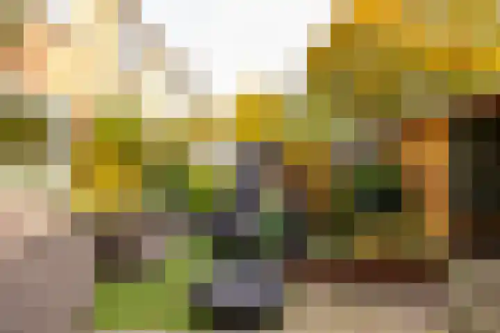 Saturnus 72 Hoogeveen thumbnail 46