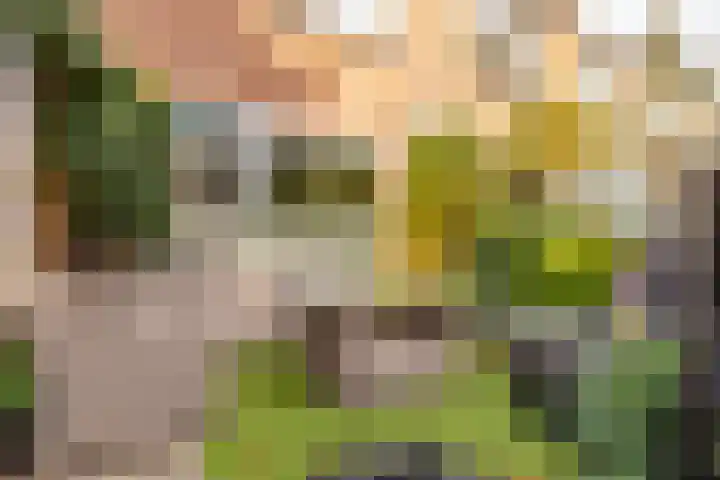 Saturnus 72 Hoogeveen thumbnail 47