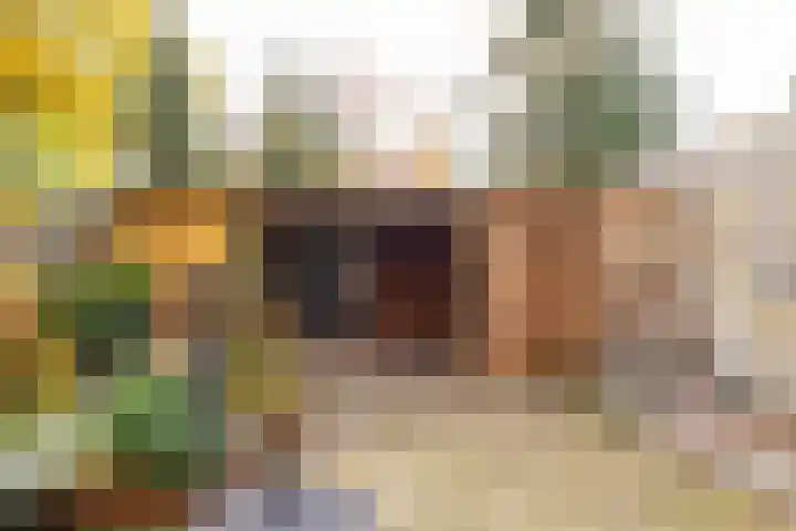 Saturnus 72 Hoogeveen thumbnail 49