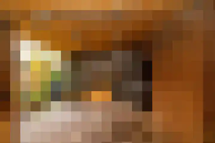 Saturnus 72 Hoogeveen thumbnail 54