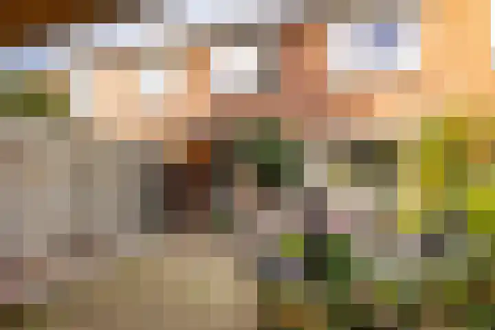 Saturnus 72 Hoogeveen thumbnail 57