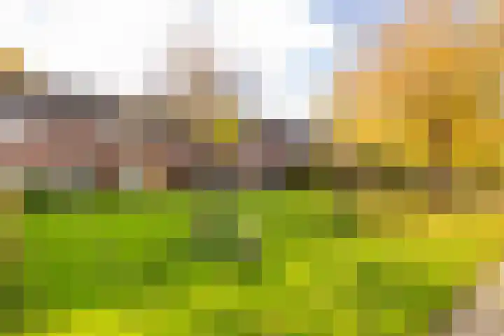 Saturnus 72 Hoogeveen thumbnail 59