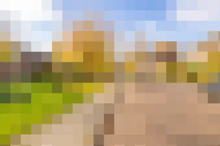 Saturnus 72 Hoogeveen thumbnail 66