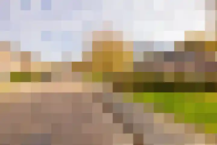 Saturnus 72 Hoogeveen thumbnail 67