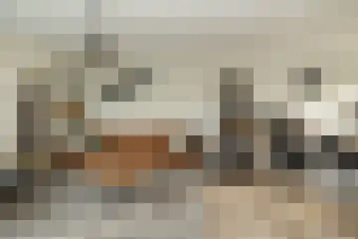 Saturnus 72 Hoogeveen thumbnail 8