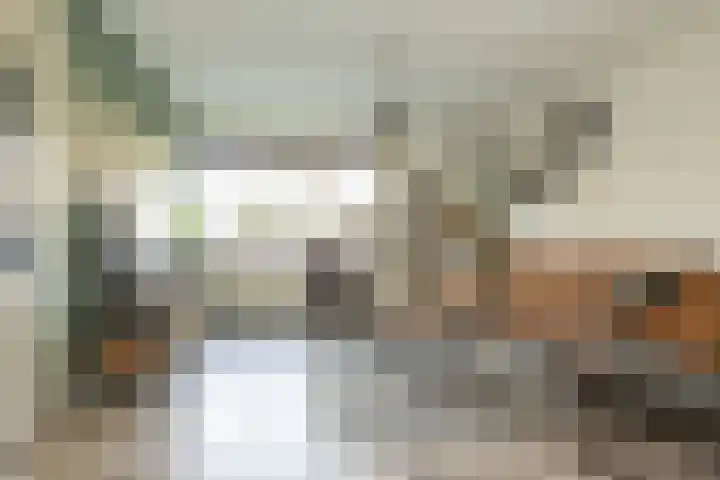 Saturnus 72 Hoogeveen thumbnail 9