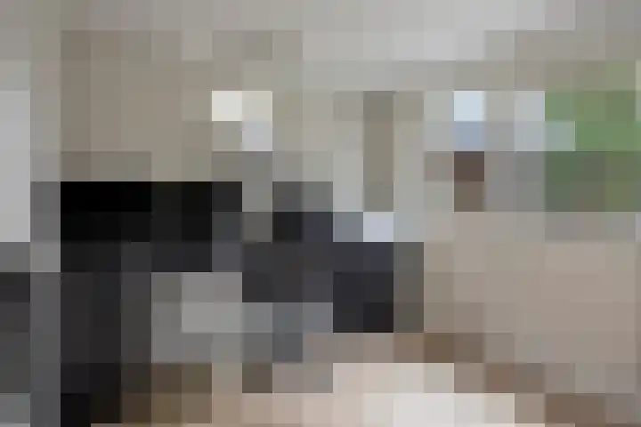 Saturnusbaan 22 Klazienaveen thumbnail 10