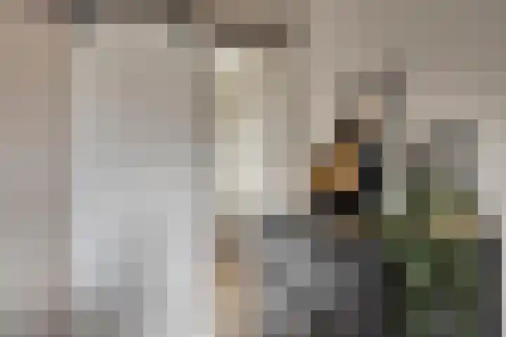 Saturnusbaan 22 Klazienaveen thumbnail 12