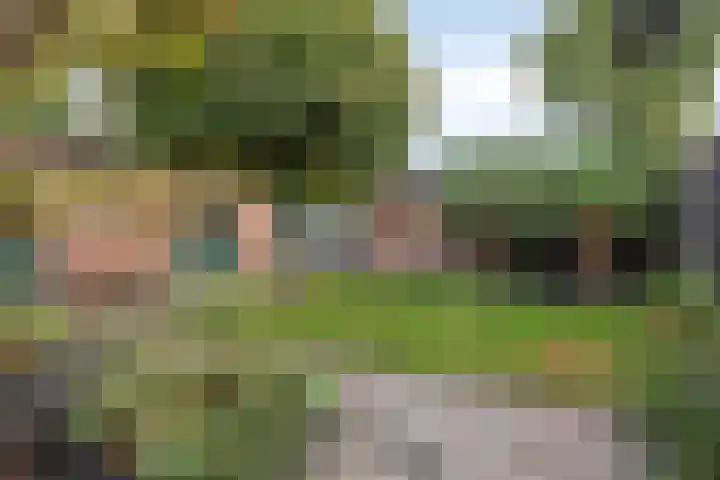 Saturnusbaan 22 Klazienaveen thumbnail 19