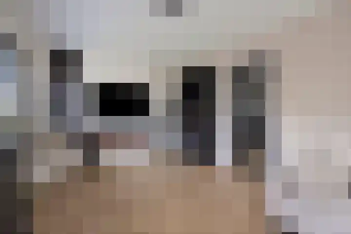 Saturnusbaan 22 Klazienaveen thumbnail 4