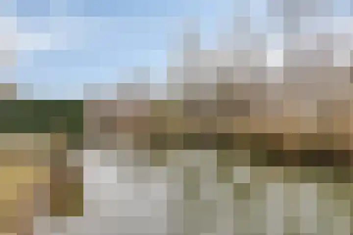 Saturnushof 29 Bemmel thumbnail 26