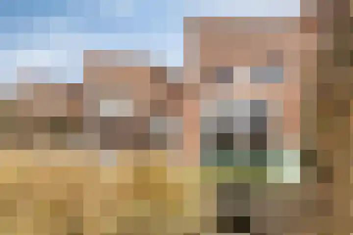 Saturnushof 29 Bemmel thumbnail 28