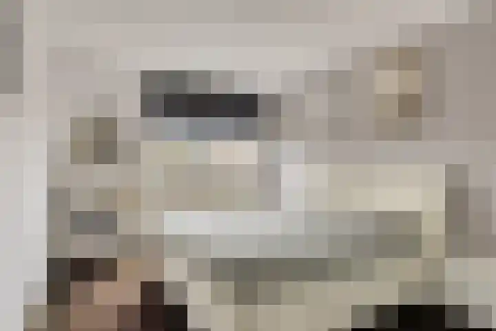Saturnushof 29 Bemmel thumbnail 31