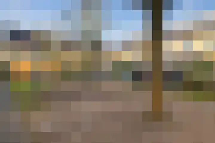 Saturnushof 7 Huis ter Heide thumbnail 16