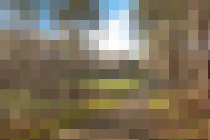 Saturnushof 7 Huis ter Heide thumbnail 33