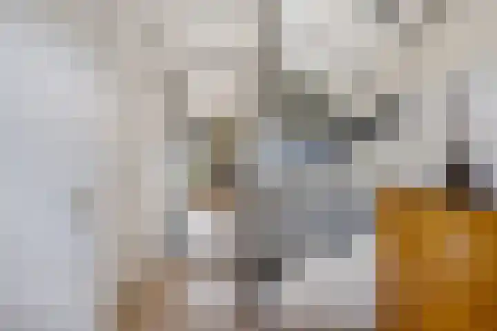 Saturnushof 7 Huis ter Heide thumbnail 6