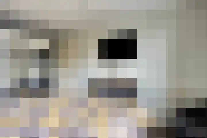 Saturnuslaan 29 Heerhugowaard thumbnail 33