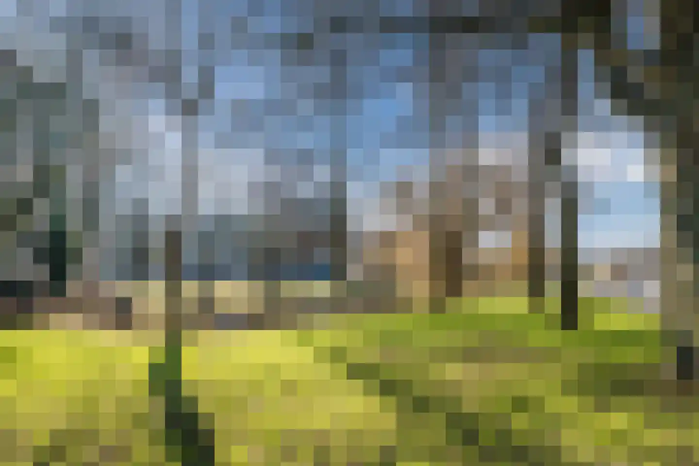 Saturnuslaan 5 Groningen thumbnail 65