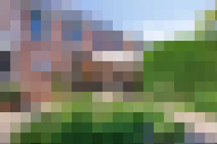 Saturnuslaan 58 Oude-Tonge thumbnail 30