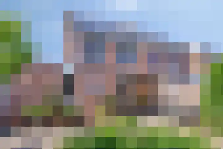 Saturnuslaan 58 Oude-Tonge thumbnail 33