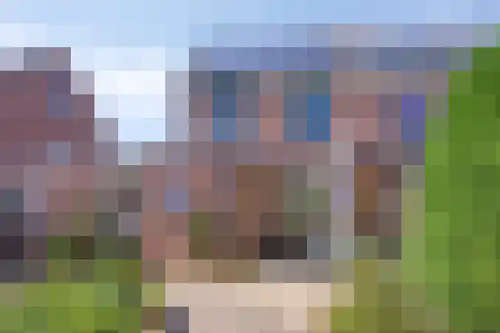 Saturnuslaan 58 Oude-Tonge thumbnail 34
