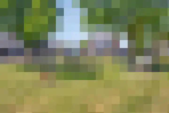 Saturnuslaan 58 Oude-Tonge thumbnail 37
