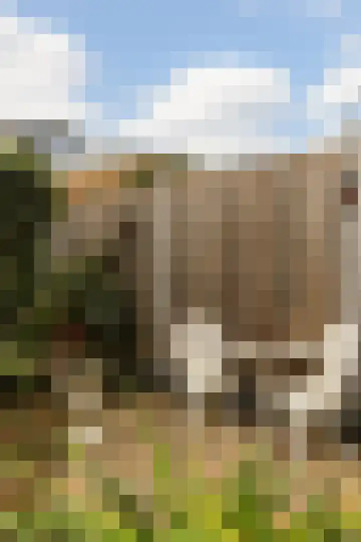 Saturnuslaan 6 Dordrecht thumbnail 32