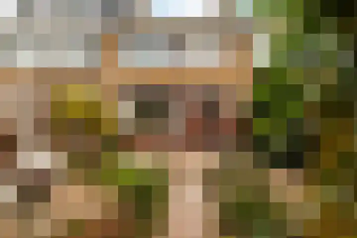 Saturnuslaan 6 Dordrecht thumbnail 34
