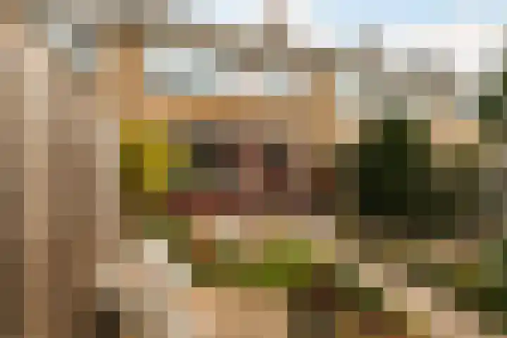 Saturnuslaan 6 Dordrecht thumbnail 36