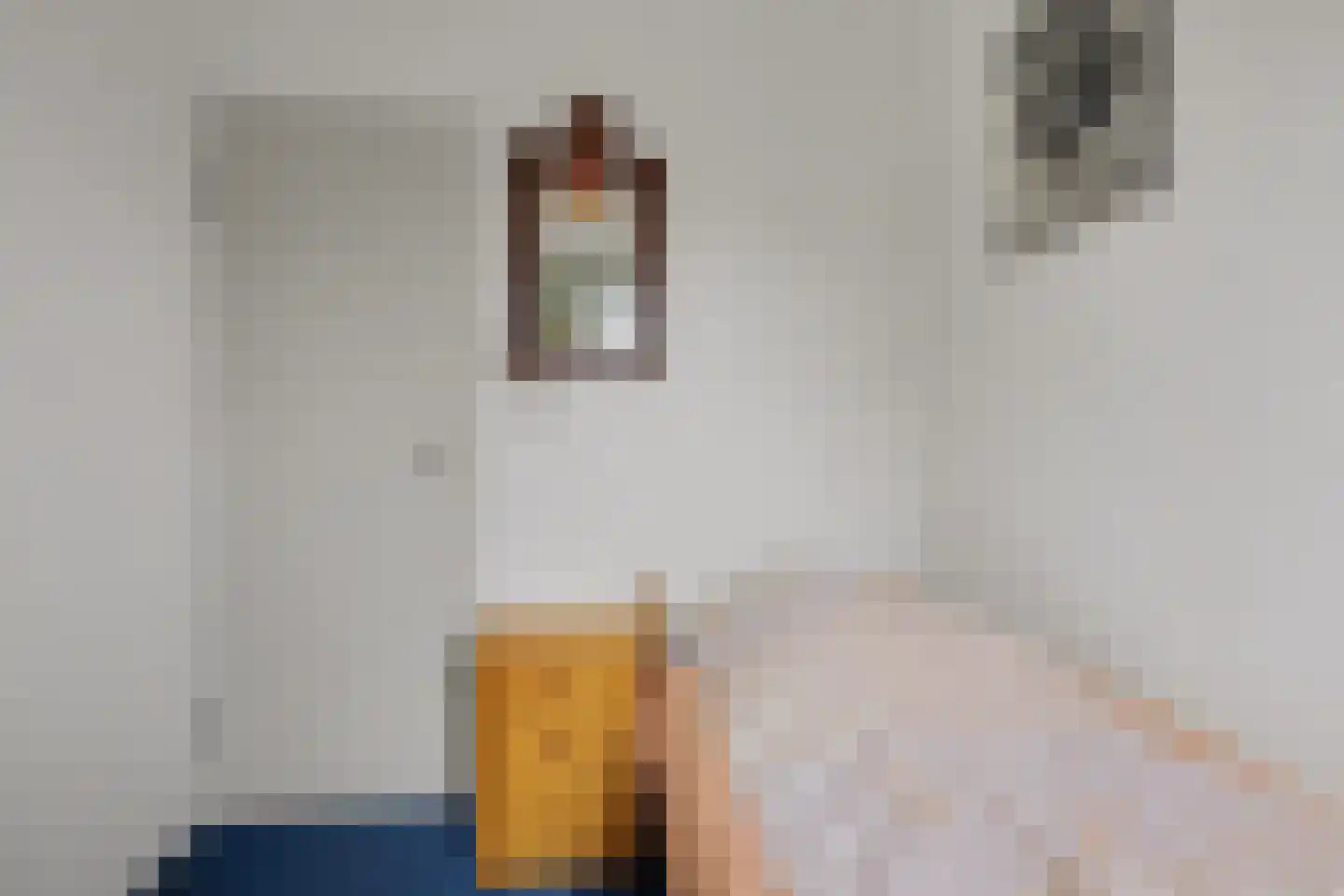Saturnuslaan 6 Kamperland thumbnail 14