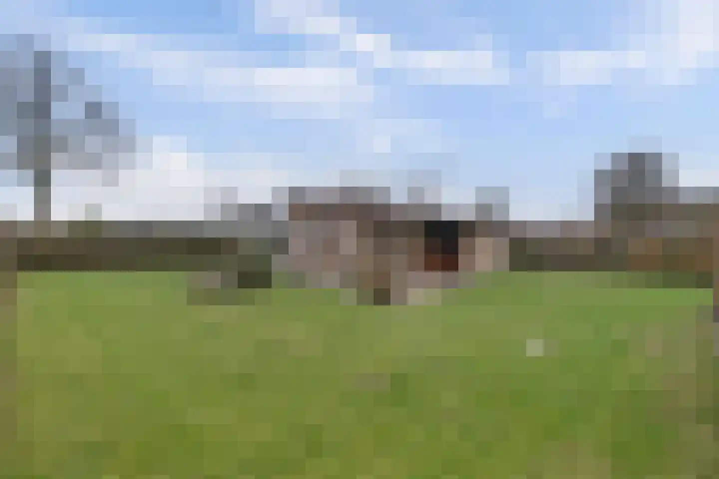 Saturnuslaan 6 Kamperland thumbnail 20