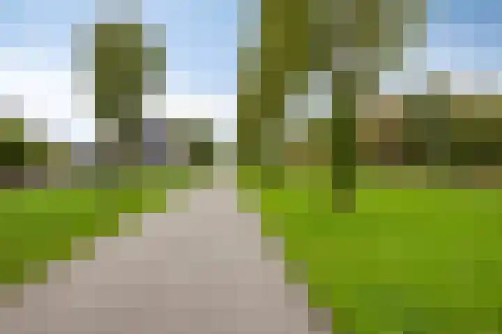 Saturnussingel 246 Almere thumbnail 69