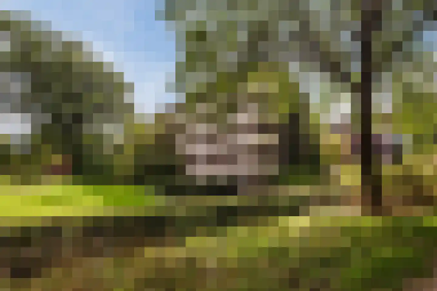 Saturnusstraat 12 Apeldoorn thumbnail 36