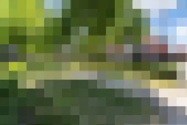 Saturnusstraat 15 Apeldoorn thumbnail 26