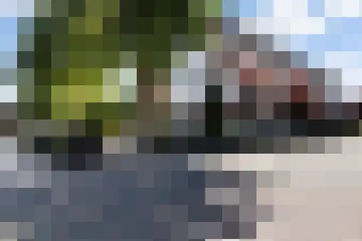 Saturnusstraat 15 Apeldoorn thumbnail 33