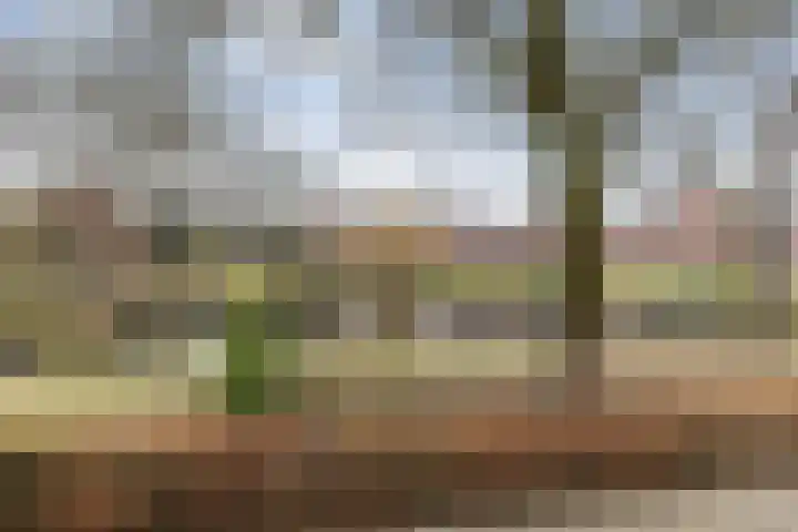 Saturnusstraat 18 Apeldoorn thumbnail 34