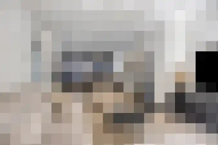 Saturnusstraat 18 Berghem thumbnail 6
