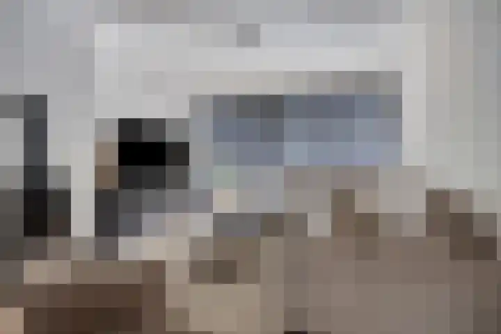 Saturnusstraat 18 Berghem thumbnail 7