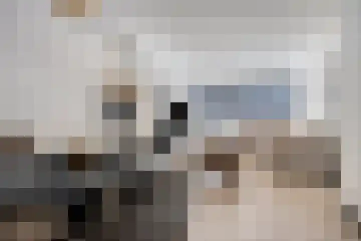 Saturnusstraat 18 Berghem thumbnail 8