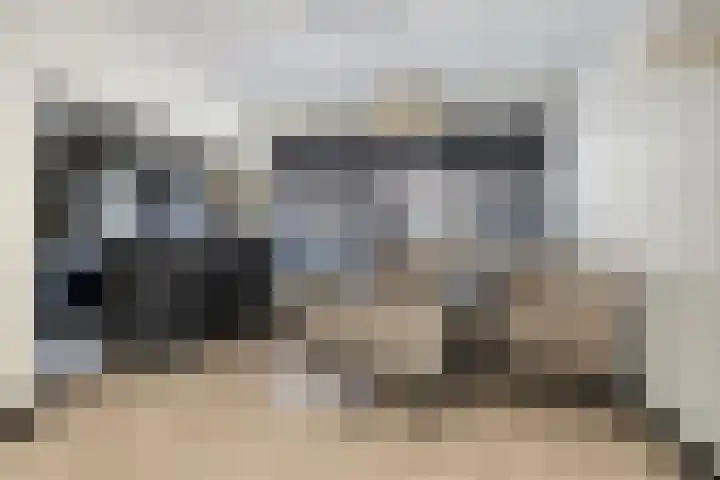 Saturnusstraat 18 Berghem thumbnail 9