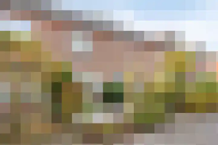 Saturnusstraat 20 Aalsmeer thumbnail 30