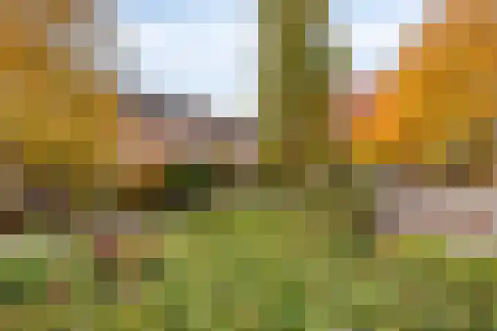 Saturnusstraat 20 Aalsmeer thumbnail 31
