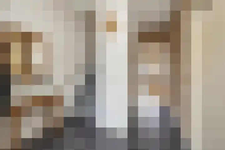 Saturnusstraat 20 Berghem thumbnail 10