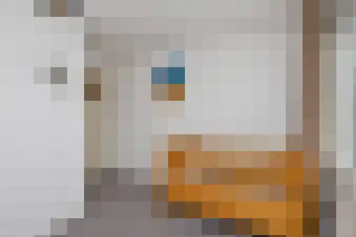 Saturnusstraat 20 Berghem thumbnail 32