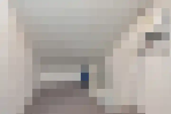 Saturnusstraat 20 Berghem thumbnail 38